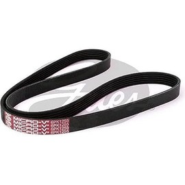 Gates 6PK1255 Micro-V Ribbed Drive Belt, 1255 mm Length