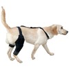 Knee Brace for Dogs | Dog Rear Leg Sleeve |