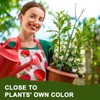 Qaobo 10 Pack Stackable Plant Support Stakes, Climbing Plant Support