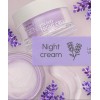 Neogen Vita Duo Night Cream (Exp : 2024/01)