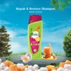 Hair Shampoo Honey & Egg Vatika Repair & Restore Shampoo