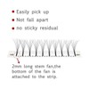 EMEDA Premade Volume Fans 4D Eyelash Extensions Set 0.10 mm