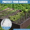 Plastic Pet & Garden Fence - Black 15.7in X 50ft