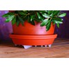 Bosmere Down Under Plant Stand,12", Clear