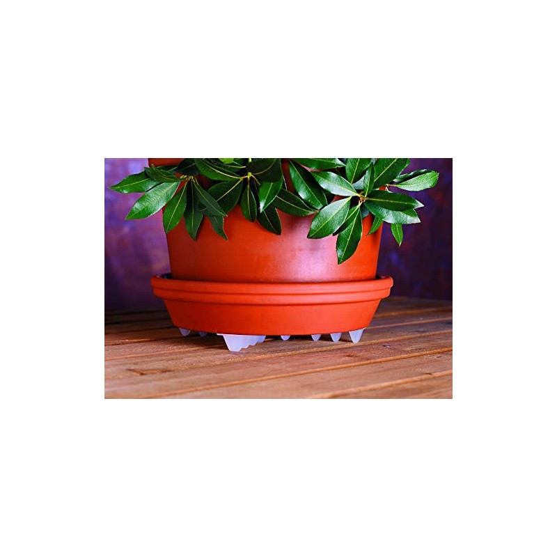 Bosmere Down Under Plant Stand,12", Clear