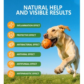 PuPulse Antibiotics for Dogs | Natura Antibiotics for Dogs | Dietary Supplement Pet Antibiotic | Dog Vitamins and Supplements | Dog Antibiotic | 2 Oz
