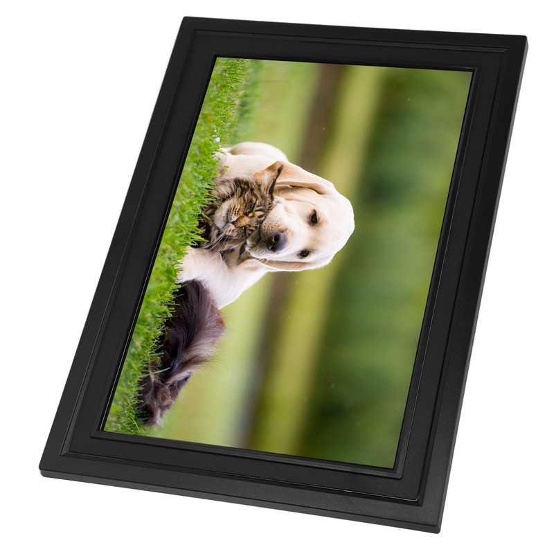 Digital Picture Frame 10.1 Inch Auto Rotate Wireless 1280x800 HD