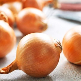 Onion Seeds - Hybrid - Yellow Granex PRR F1-1 Oz ~9,000 Seeds - Allium cepa - Farm & Garden Vegetable Seeds - Non-GMO, Hybrid, Annual