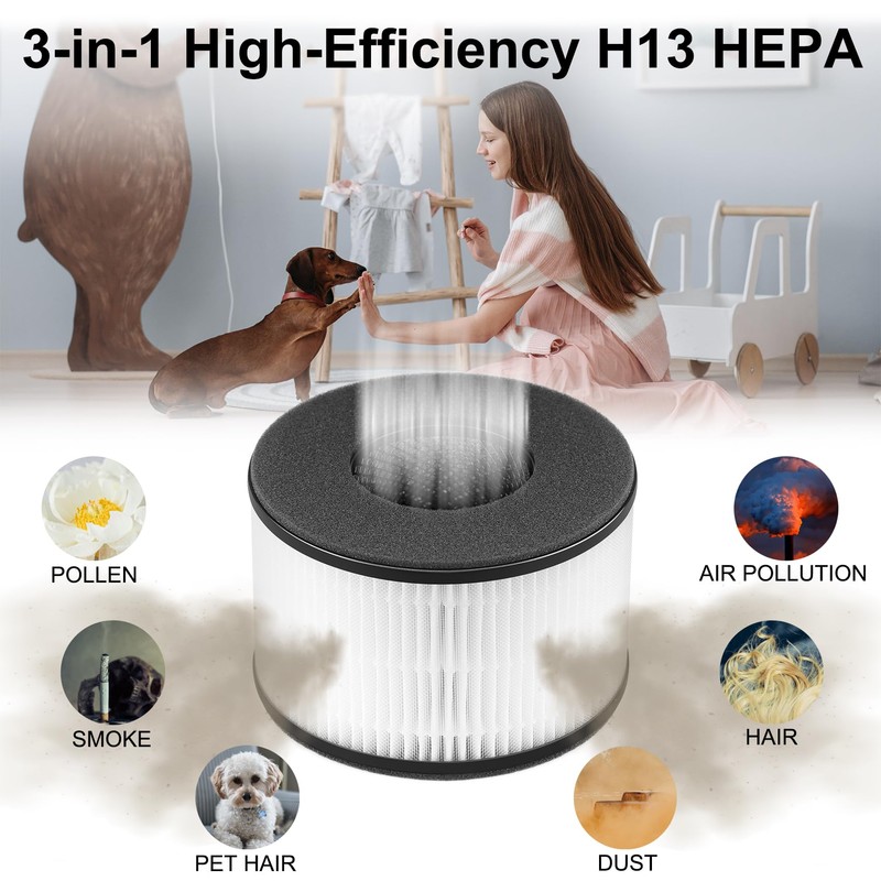 3 Pack BS-03 H13 True HEPA Replacement Filter for PARTU