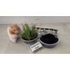 Pet Grass Variety Pack by Cat FurNature