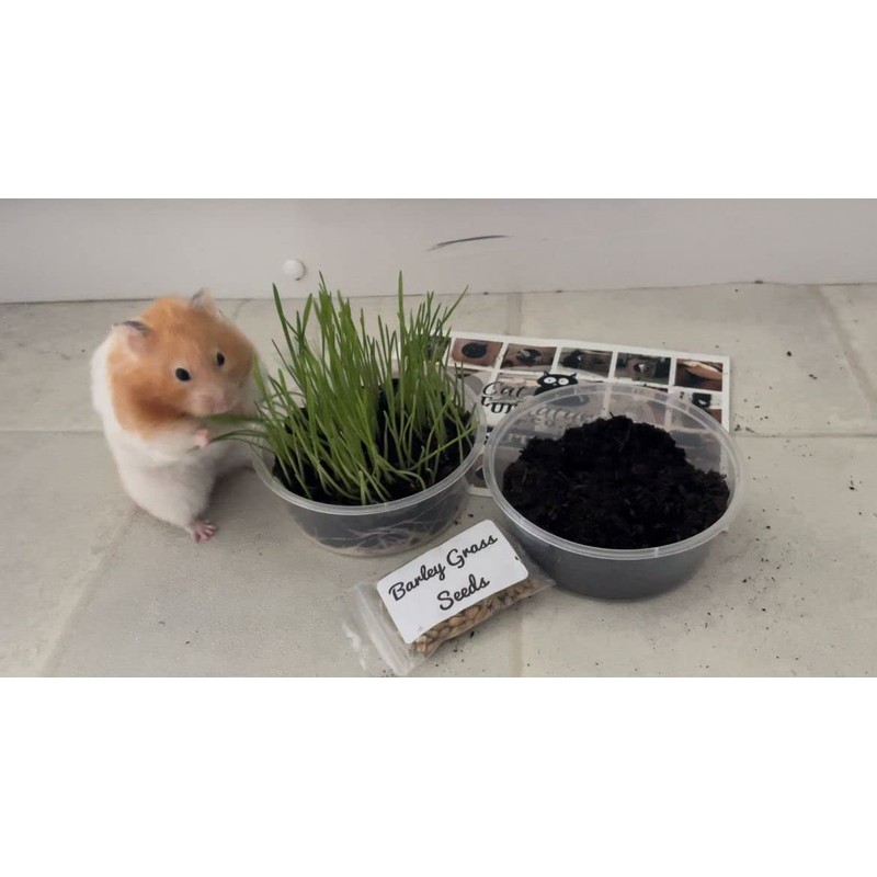 Pet Grass Variety Pack by Cat FurNature