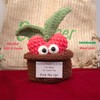 KNOTBOO Crochet Heart in a Pot, Pick Me Up -