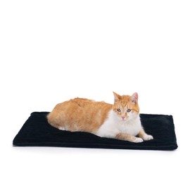 PETS APPAREL HILLS | Cama Tipo Colchoneta Térmica para Gato Acolchonado, Hipoalergénico, Suave y Cómodo (Medium, Negro)