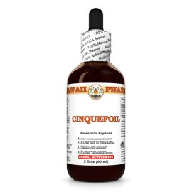 Cinquefoil (Potentilla Reptans) Dry Herb Tincture, Made in Hawaii, All Natural, Vegan, Pure Liquid Extract - 2 fl.oz