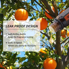 GREENSLEEVES Orange Essential Oil for Diffuser, 100% Pure Organic Orange Aromatherapy Oil for Humidifiers, Perfume, Soap Making - 0.33 Fl Oz