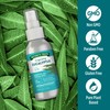 Nature's Truth Eucalyptus Mist Spray 2.4 fl oz | Pure