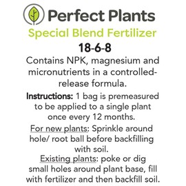 OAKLEAF Holly, Live Plant, Includes Special Blend Fertilizer & Planting Guide (4-5-FT)