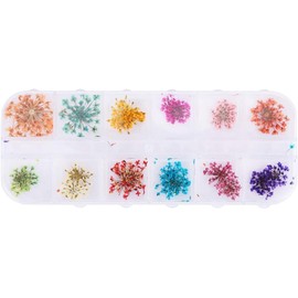 Mini Mixto, Decoración de Flores Secas para Uñas, 12 Colores de Manicura de Flores Secas para Uñas, Decoración de Bricolaje, Flores Prensadas, Mini Pegatinas Mixtas para Arte de (Un tipo lleno de estrellas)