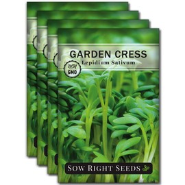 Sow Right Seeds - Garden Cress Seeds for Planting - Non-GMO Heirloom Packet with Instructions to Plant and Grow a Kitchen Herb Garden - Indoors or Outdoors - Edible Leaves and Cute Filler (4)