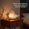 Natural Conch Shell, Real Large Conch Shell, Sea Shells for