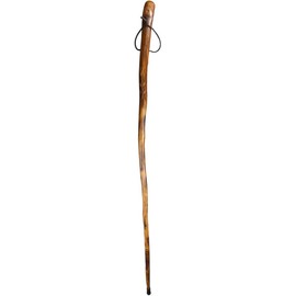 SE 60-Inch Natural Wood Walking Stick with Root Head & Steel Tip - Hand-Carved Floral Design, Huangtang Wood, Grooved Grip - WS631-60RH