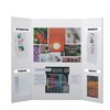 Flipside Products 36” x 48” Project Boards for Presentations, Science