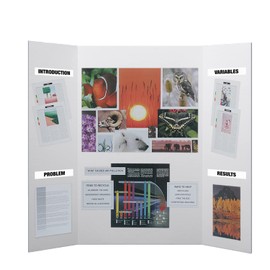 Flipside Products 36” x 48” Project Boards for Presentations, Science Fair, School Projects, Event Displays and Trifold Picture Board, Proudly Made in USA - Clay White - 10 Pack