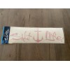 Salt Life Pink Anchor Decal 12” SAD922 NEW