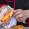 BESTONZON Multifunction Paring Knife Stainless Steel Peeler Gourd Grater Parer