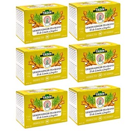 TADIN TEA BAG LEMON GINGER BLEND NAT, 24 Count (Pack of 6)
