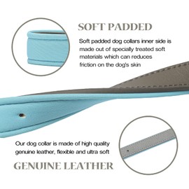 Tanpie Leather Dog Collar for Small Medium Large Dogs Soft Waterproof Puppy Collars
