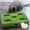 Petstages Caja de Caza con Parche de Hierba para Gatos