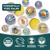Badger Healing Balm - 2oz - 2 Pack