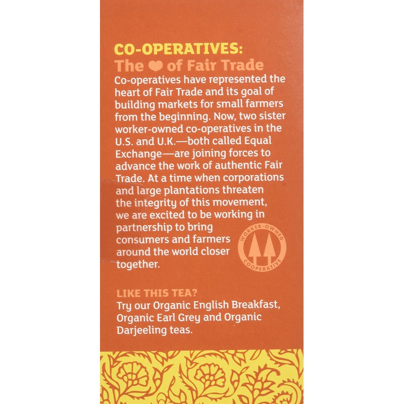 Equal Exchange Organic Chai, 20 Count (Pack of 3)