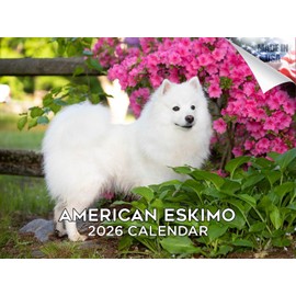 2025 2026 American Eskimo Calendar - Dog Breed Monthly Wall Calendar - 12" x 18" Open - Thick No-Bleed Paper - Giftable - Academic Teacher's Planner Calendar Organizing & Planning - Made in USA