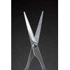 Seki Edge SS-910 Beard and Mustache Grooming Scissor
