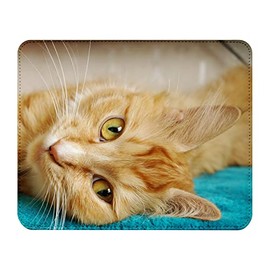 Fabulous Mauspad aus Kunstleder Red Tabby-Katze auf Blauem Tuch Lounging Süße Tiere