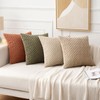 MIULEE Pack of 4 Rust-Olive Green Throw Pillow Covers 20x20
