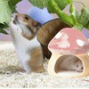 Nizirioo Unique hamster house ceramic: durable hamster hideout, hamster house
