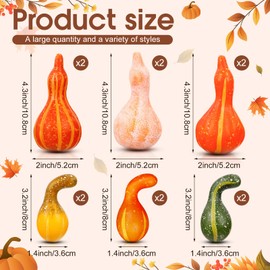 Geelin 12 Pcs Artificial Pumpkin Gourd Fall Decoration 4.5 Inch Lifelike Gourd Mix Colors 2 Shapes Fake Pumpkin for Autumn Decor Home Farmhouse Table Thanksgiving Vase Filler Harvest Tiered Tray Set