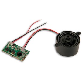 Noch 12911 Sheep Herd with Sound