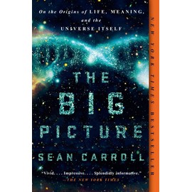 The Big Picture: On the Origins of Life, Meaning, and the Universe Itself