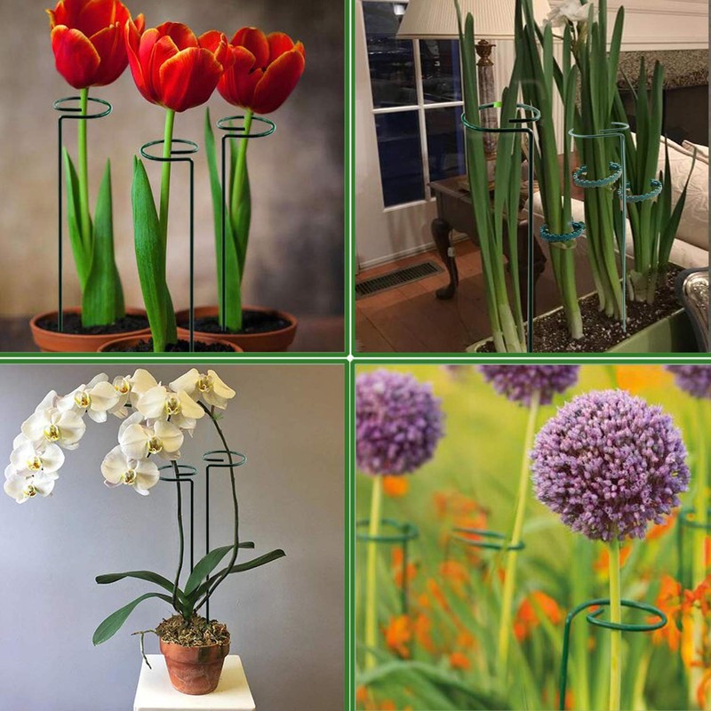 Plant Stake Support - 6 Pack, Garden Single Stem Support