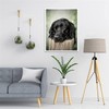 DIY 5D Diamond Painting Kits Black Dogs Labrador Full Drill