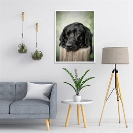 DIY 5D Diamond Painting Kits Black Dogs Labrador Full Drill Round Beads Diamond Art Cross Stitch Diamond Painting by Number Kits Dog Person Gift and Wall Decoration 12x16 Inch