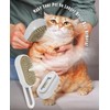 Frelara Cat Steam Brush for Shedding - 3 in 1