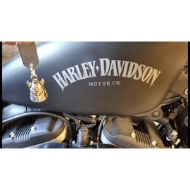 Guardian Bell 8 BALL Pool Billards biker motorcycle good luck charm keychain