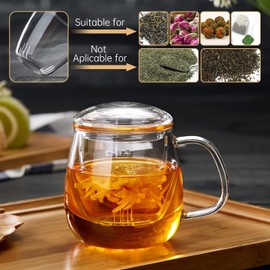 DOPUDO Glass Teacups 2 Pack Glass Tea Cup with Infuser and Lid, 17.6oz/520ml Large Borosilicate Teacup,Tea Clear Mug Cup for Loose Leaf Blooming Tea, Microwave & Dishwasher Safe