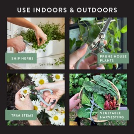 Modern Sprout Pruning Shears for Gardening, Herb Snips, Flower Cutting Scissors, Indoor Plant Shears, Lightweight, Ergonomic, Carbon Steel Blade, Easy-Lock Safety, Aesthetic (Lavender)