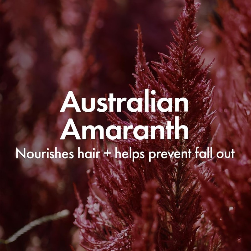 BONDIBOOST BONDIBOOST Thickening Shampoo [16.90 fl oz]